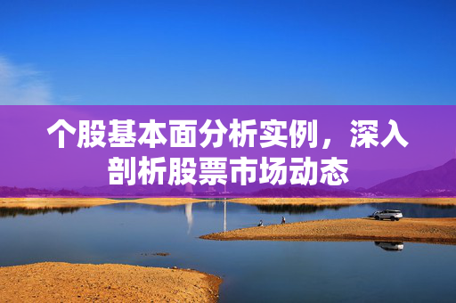 个股基本面分析实例，深入剖析股票市场动态