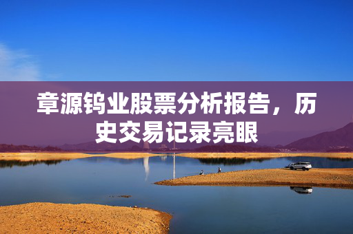 章源钨业股票分析报告，历史交易记录亮眼