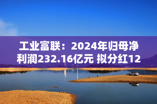 工业富联：2024年归母净利润232.16亿元 拟分红127亿元