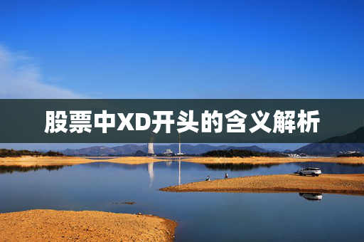 股票中XD开头的含义解析