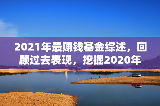 2021年最赚钱基金综述，回顾过去表现，挖掘2020年最赚钱基金