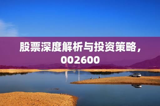 股票深度解析与投资策略，002600