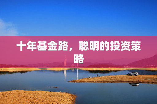 十年基金路，聪明的投资策略