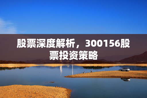 股票深度解析，300156股票投资策略
