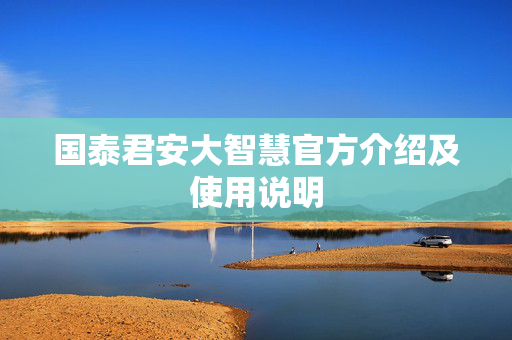 国泰君安大智慧官方介绍及使用说明