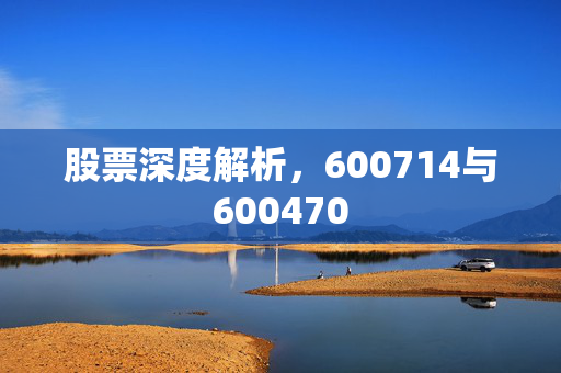 股票深度解析，600714与600470
