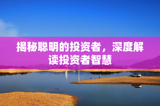 揭秘聪明的投资者，深度解读投资者智慧