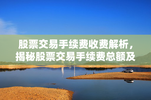 股票交易手续费收费解析，揭秘股票交易手续费总额及收费标准