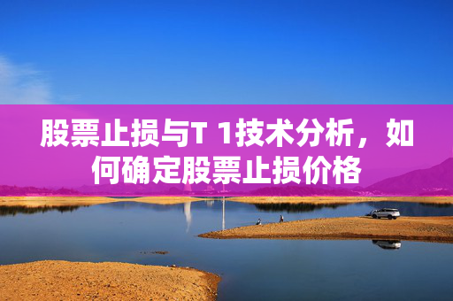 股票止损与T 1技术分析，如何确定股票止损价格