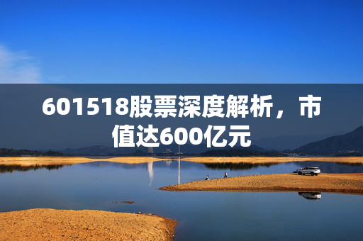 601518股票深度解析，市值达600亿元