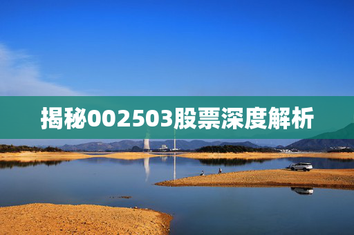 揭秘002503股票深度解析