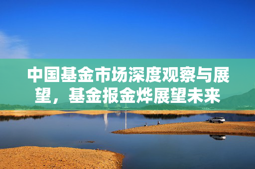 中国基金市场深度观察与展望，基金报金烨展望未来