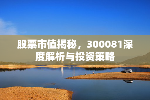 股票市值揭秘，300081深度解析与投资策略