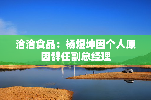 洽洽食品：杨煜坤因个人原因辞任副总经理
