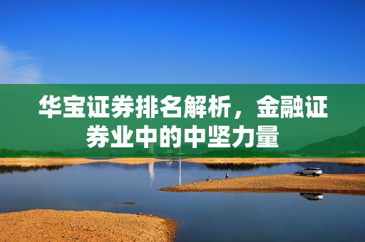炒股技巧 第349页