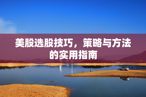 美股选股技巧，策略与方法的实用指南