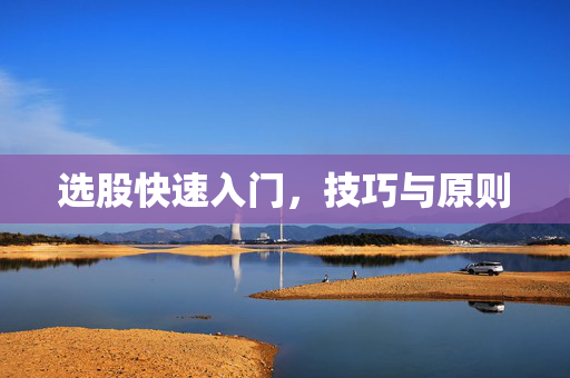 选股快速入门，技巧与原则