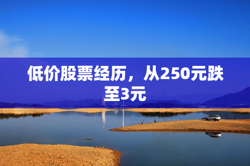 低价股票经历，从250元跌至3元