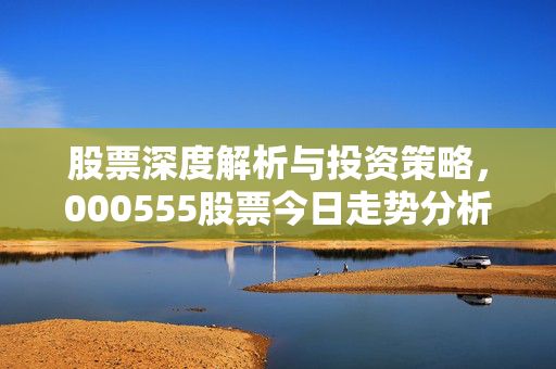 股票深度解析与投资策略，000555股票今日走势分析