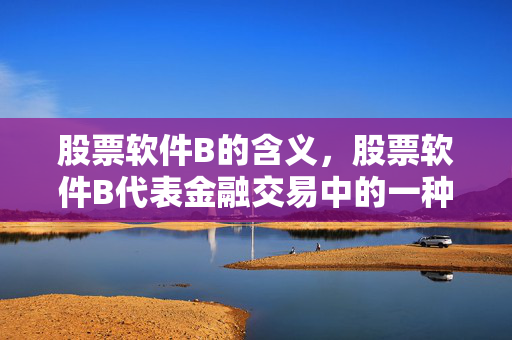 股票软件B的含义，股票软件B代表金融交易中的一种工具或平台
