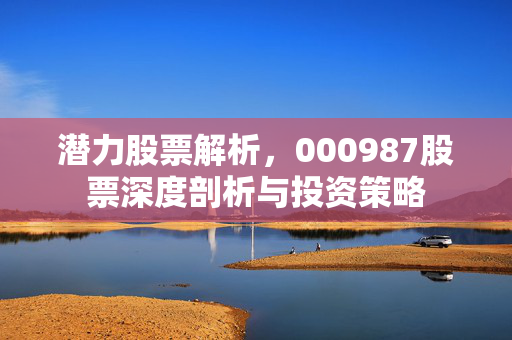 潜力股票解析，000987股票深度剖析与投资策略