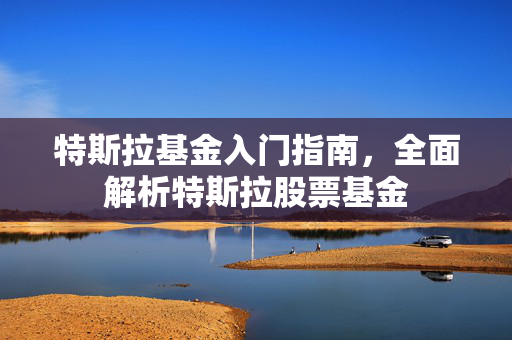 特斯拉基金入门指南，全面解析特斯拉股票基金
