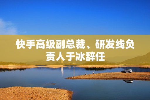 快手高级副总裁、研发线负责人于冰辞任