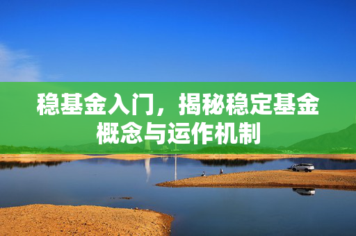 稳基金入门，揭秘稳定基金概念与运作机制