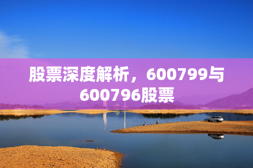 股票深度解析，600799与600796股票