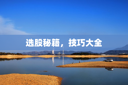 选股秘籍，技巧大全