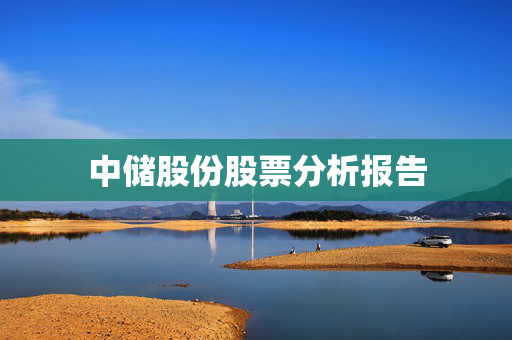 中储股份股票分析报告