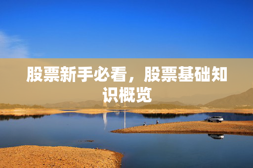 股票新手必看，股票基础知识概览