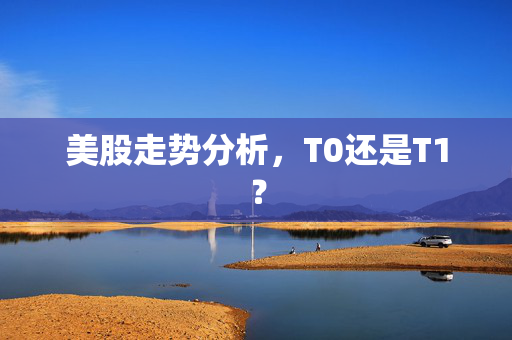 美股走势分析，T0还是T1？