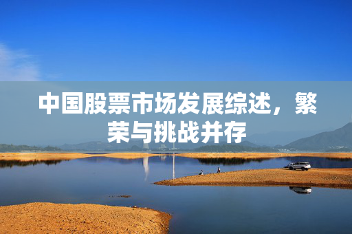 中国股票市场发展综述，繁荣与挑战并存