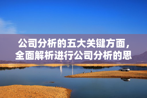 公司分析的五大关键方面，全面解析进行公司分析的思路