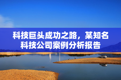 科技巨头成功之路，某知名科技公司案例分析报告