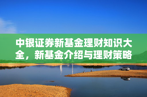 中银证券新基金理财知识大全，新基金介绍与理财策略