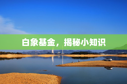 白象基金，揭秘小知识