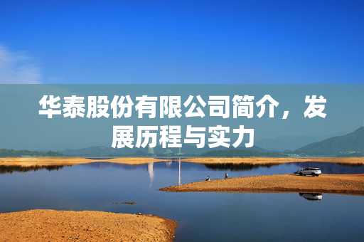 华泰股份有限公司简介，发展历程与实力