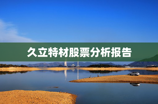久立特材股票分析报告