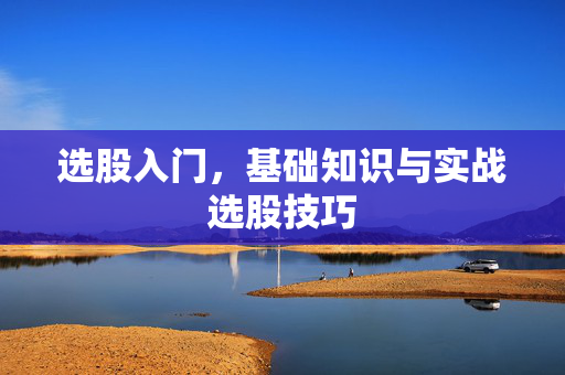选股入门，基础知识与实战选股技巧