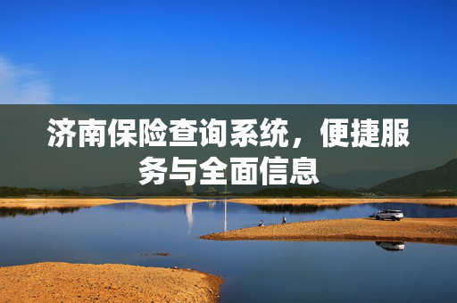济南保险查询系统，便捷服务与全面信息