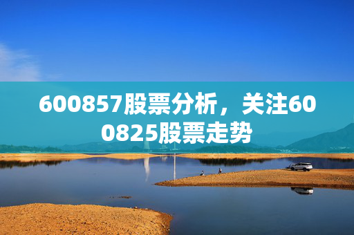 600857股票分析，关注600825股票走势