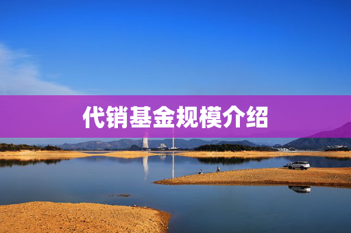 代销基金规模介绍
