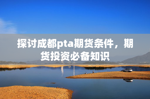 PTA期货