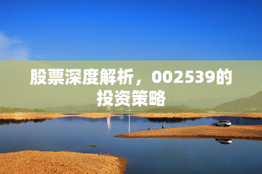 股票深度解析，002539的投资策略
