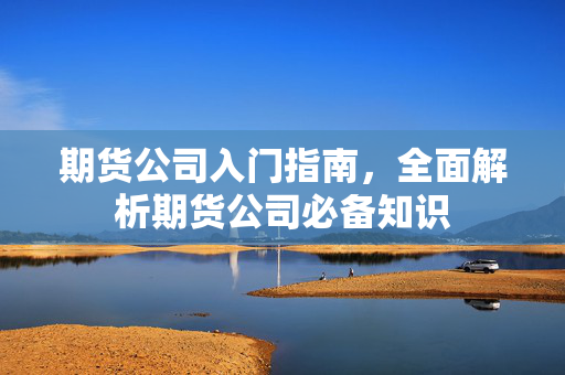 期货公司入门指南，全面解析期货公司必备知识