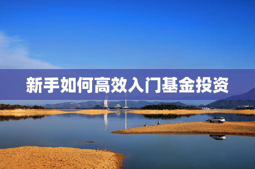 新手如何高效入门基金投资
