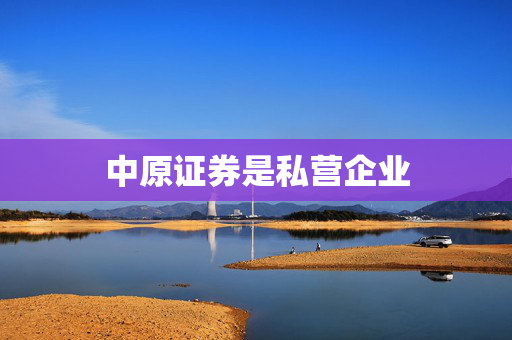 中原证券是私营企业