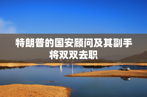特朗普的国安顾问及其副手将双双去职